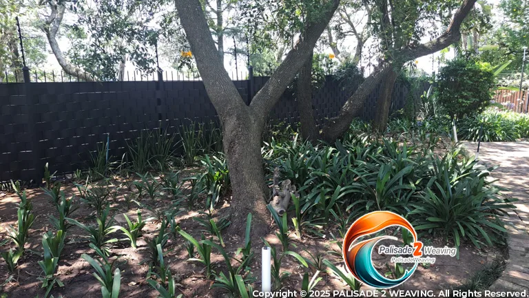 WhatsApp Image 2025-11-19 at 8.19.41 AM (2)