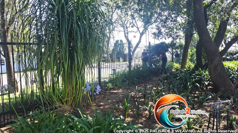 WhatsApp Image 2025-11-19 at 8.19.41 AM (3)