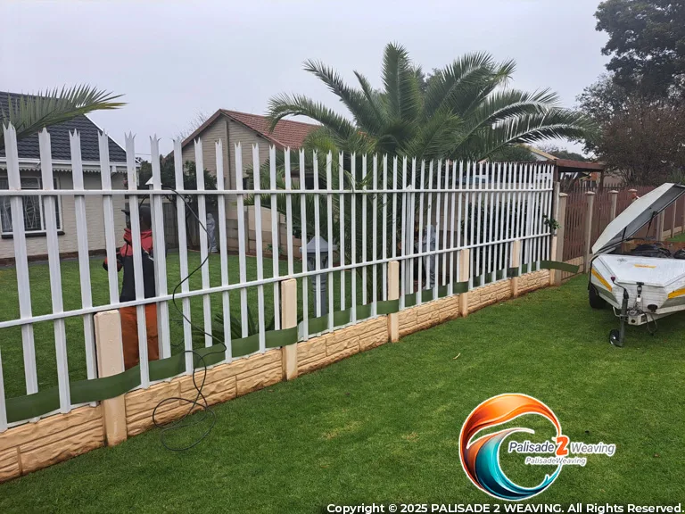 WhatsApp Image 2025-11-19 at 8.29.08 AM